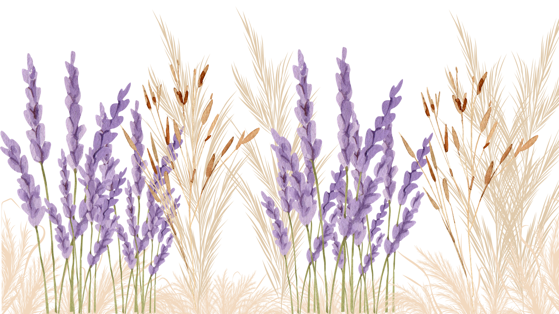Verre fleur de lavande