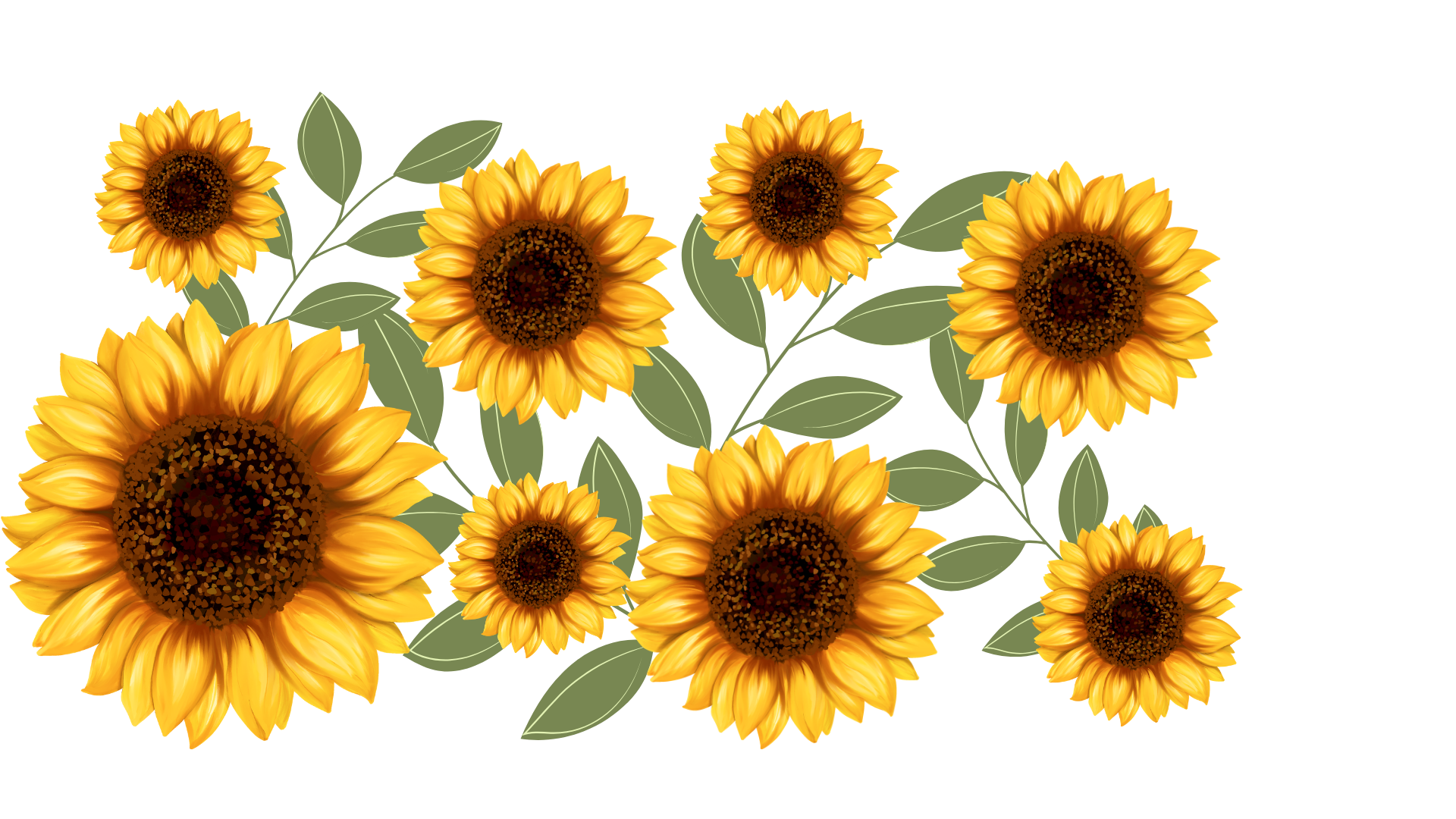 Verre a Tournesol